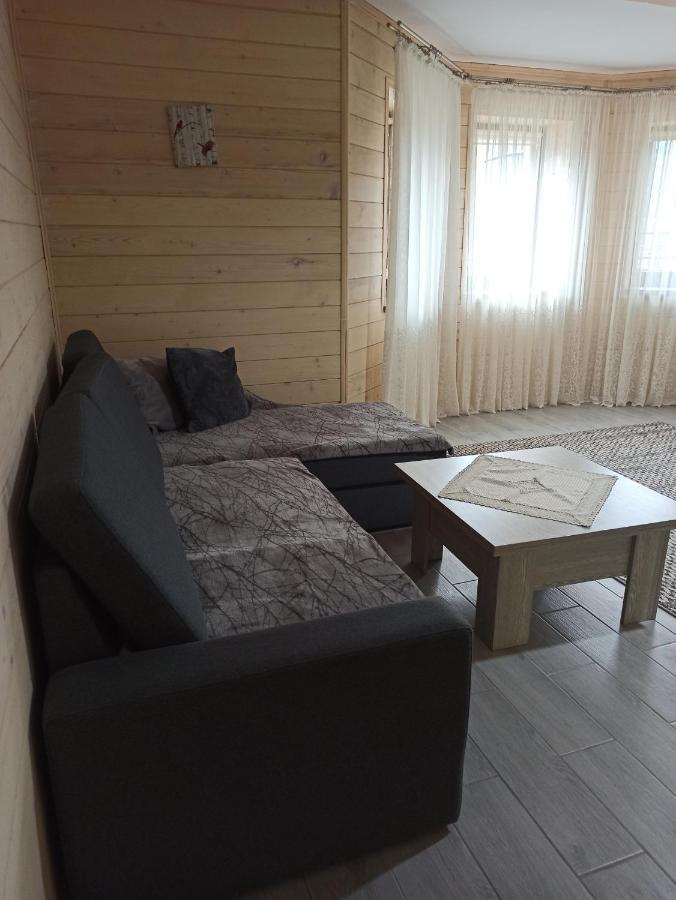 Brand New 2020 Specious Apartment Druzi 2 ポリャニーツァ エクステリア 写真