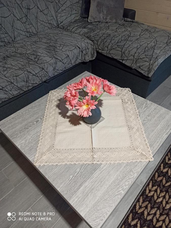 Brand New 2020 Specious Apartment Druzi 2 ポリャニーツァ エクステリア 写真
